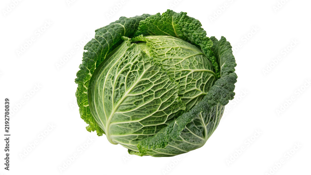 Fototapeta premium Whole fresh organic green savoy head cabbage vegetable isolated on transparent background.