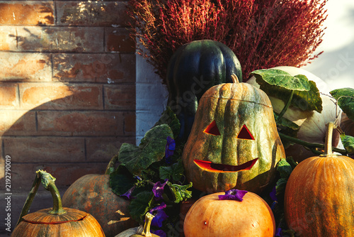 Rustic Homemade Halloween Decoration with Carved Pumpkins and Peppers, red and green chili peppers, dried flowers, and autumn foliage.