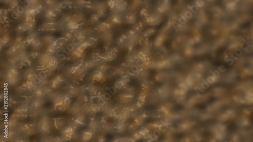 Brown textured pattern background. 2d animation