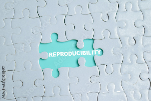 Foto Piece of jigsaw puzzle reproducibility phrase