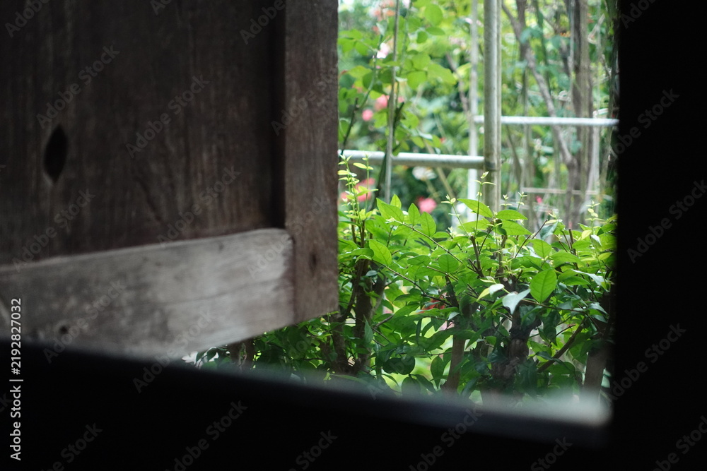 Obraz premium rustic composition looking out from the inside of a traditional wooden house through an open window, revealing lush green plants and soft foliage in the garden outside. The contrast creates a cozy, fr