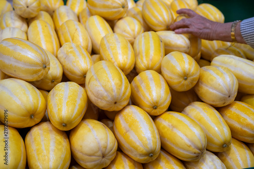 Obraz na płótnie A customer selects ripe yellow oriental melons with white stripes stacked high at a market in South Korea