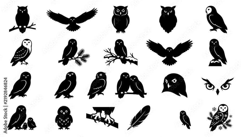 Fototapeta premium Owl Silhouettes Set with Various Poses, Branches, Feathers, and Close-Up Eyes
