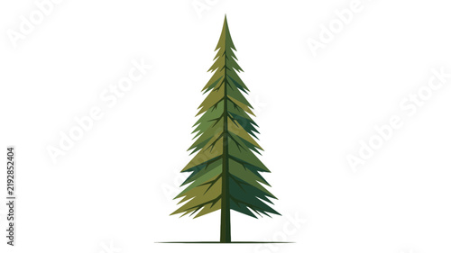 Minimalist Stylized Evergreen Pine Tree Illustration for Nature and Forest Design Concepts on White Background
