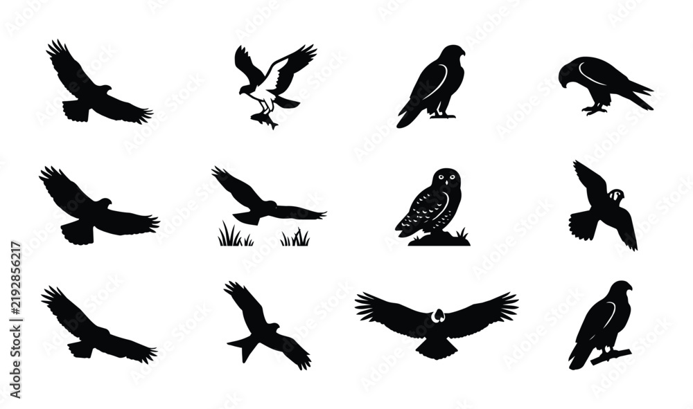 Fototapeta premium Silhouette Bird Icons, Raptor and Owl Vector Set, Wildlife and Avian Graphics Collection, Nature and Flight Symbols