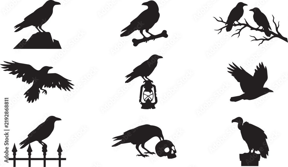 Fototapeta premium Black crow and vulture silhouette icons collection for graphic design