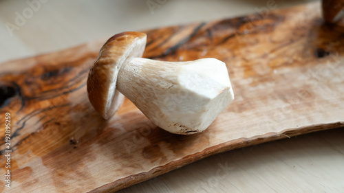 Konstfotografi A single fresh porcini mushroom on a wooden cutting board