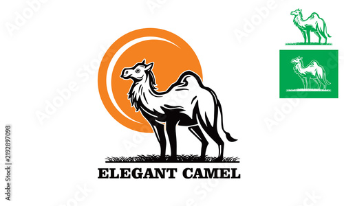 elegant camel logo, simple strong desert animal standing vector illustration