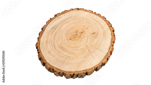Fotografía Cross section cut of circular tree trunk log isolated on transparent background