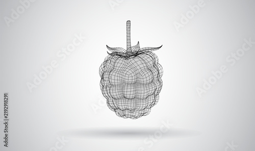3D mesh object on a white background