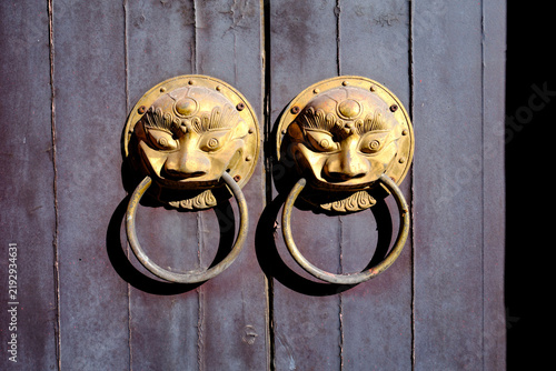 Fotografie Ornate Brass Lion Head Door Knockers on Wooden Door