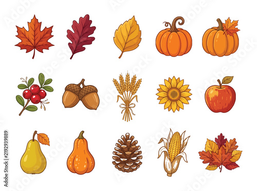 Set of hand drawn watercolor elements for thanksgiving celebration featuring autumn leaves pumpkins fruits and seasonal harvest decorations