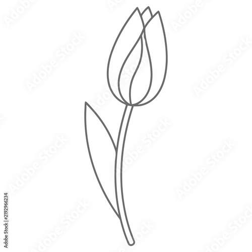 Single Tulip Outline