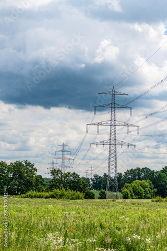 Canvastavla Green nature energy