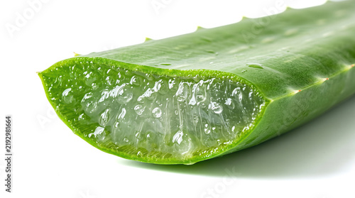 Fresh sliced aloe vera succulent leaf displaying clear hydrating gel pulp, wet droplets, green herbal plant section isolated white studio background