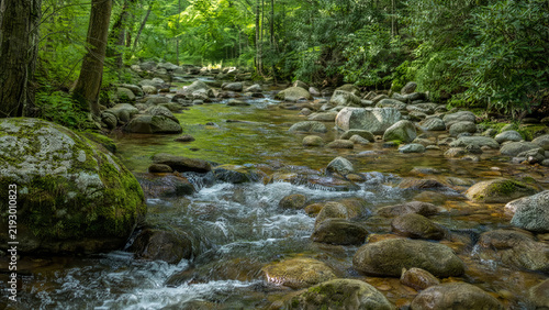 Clear Woodland Stream Flowing over Mossy Stones in a Green Forest