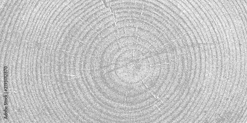 Tree ring pattern showcasing natural wooden texture vector illustration background. Annual growth circles create stunning organic backdrop with dark grain details for luxury poster and cover layouts.