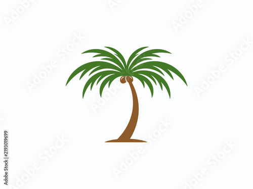 Tropical palm tree with coconuts vector graphic