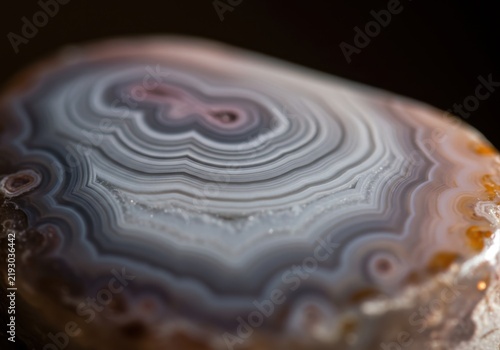 Close-up view of a polished agate stone slice showcasing intricate natural patterns and vibrant mineral layers in a studio environment
