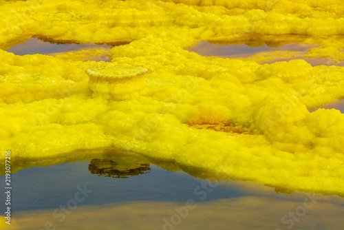 Bild auf Leinwand Detail of water pools and sulfur formations in Dallol