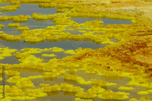 Canvastavla Floating sulfur formations in the acid pools of Dallol