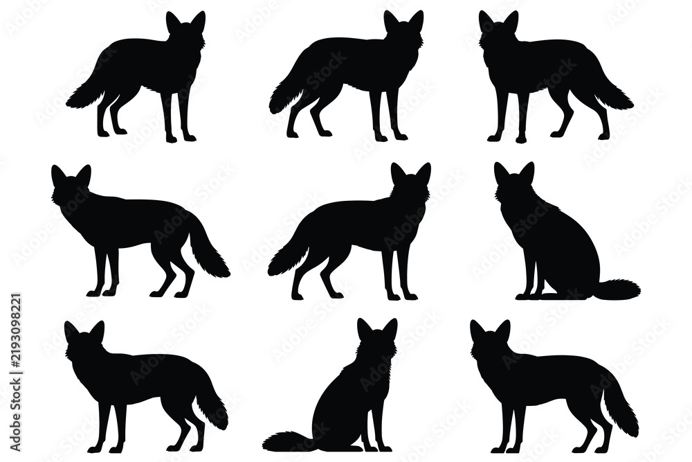 Obraz premium A collection of nine black silhouettes of foxes in various poses, including standing, sitting, and looking around, isolated on a plain white background