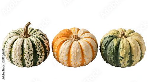 Isolated Bicolor Pumpkins on White Background Studio Shot