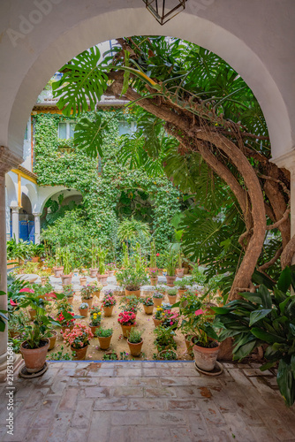 Patio con flores en Sevilla / Flower-Filled Courtyard in Seville / 花が並べられたセビリアの中庭