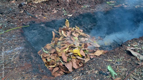 Burning Dry Leaves and Wood Twigs Producing Smoke in a Pit Dry leaves and wood twigs burning with flames and thick smoke inside a ground pit during outdoor yard cleanup and organic waste disposal.
