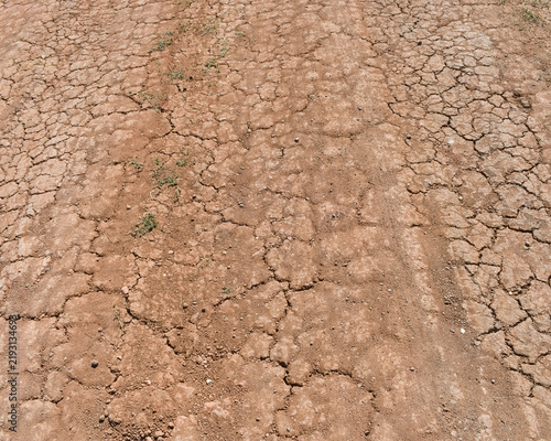 Konstfotografi Cracked dry earth texture of a dusty rural road with tire track imprints under bright sunlight