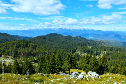 Obraz na płótnie Spruce forest covering Jelovica plateau bellow Ratitovec and a view of the Julia
