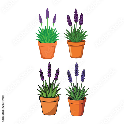 Purple lavender potted houseplant set for spring decoration vector