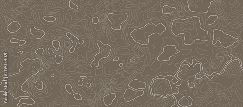 Topographic map pattern with white contour lines on geographical features like hills valleys and mountains.