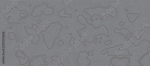Topographic map pattern with white contour lines on geographical features like hills valleys and mountains.