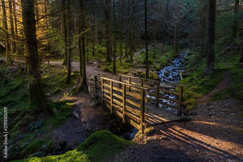 Foto A footbridge over Comb Gill in the Whinlatter Forest, Lake District, Cumbria, En