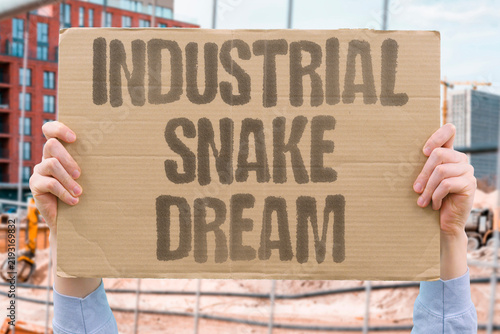 Canvastavla "Industrial snake dream" Resident fantasizes about owning a heavy-duty auger