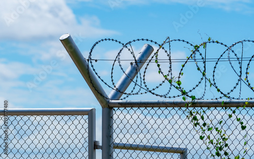 фотографія Razor wire security fence with metal chain link barrier against blue sky, perimeter protection and restricted access boundary for secure facility and private property