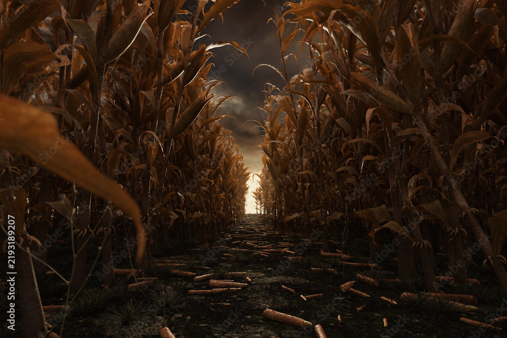 Fototapeta premium 3D rendering of a withered cornfield with a path running through it, set against a dramatic sky