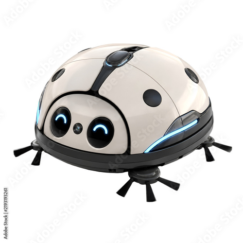 ladybird on a white background