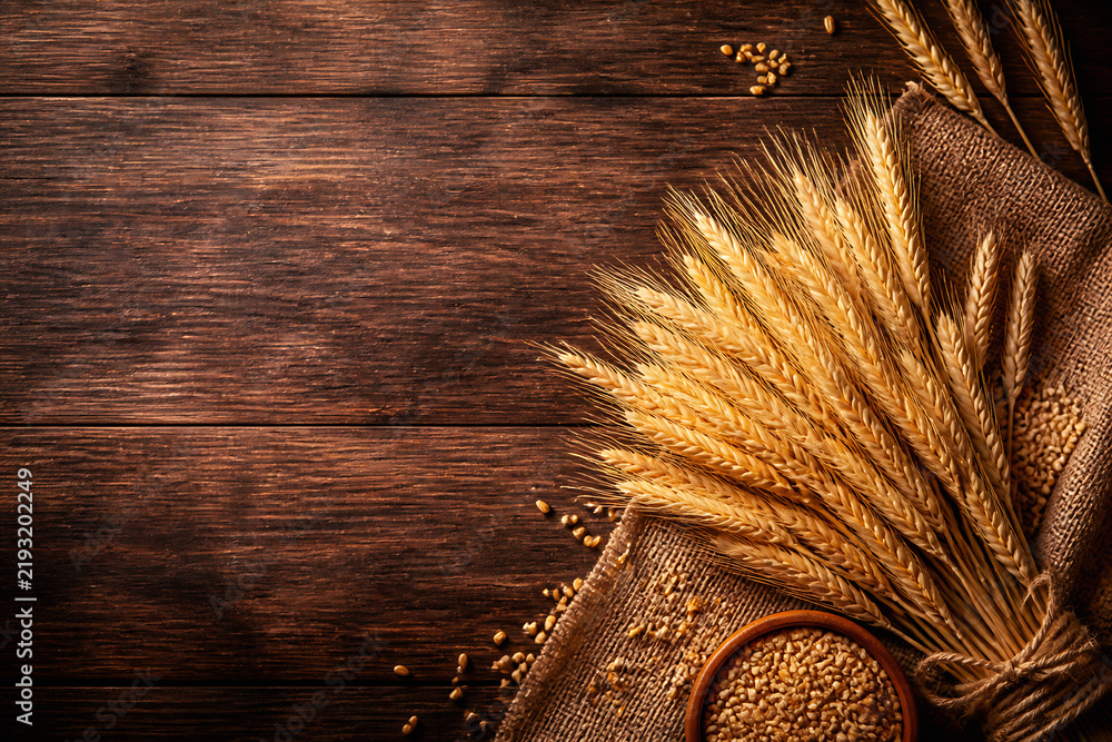 Obraz premium A rustic wooden surface is adorned with sheaves of wheat and scattered grains on a burlap sack.