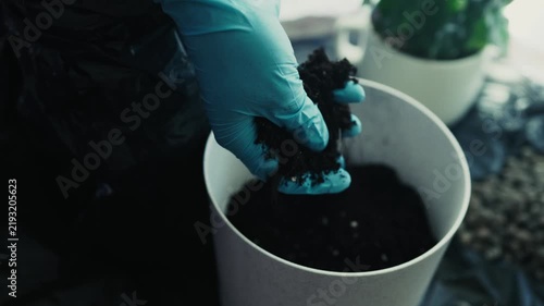 Hands in blue gloves adding soil into flower pot indoors