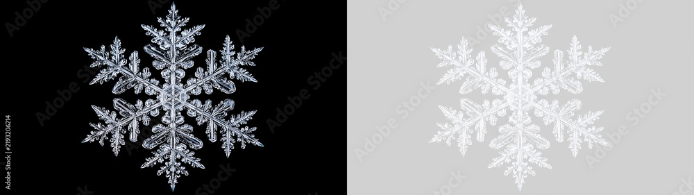 Fototapeta premium Macro cristallo di fiocco di neve dettagliato su sfondo nero e versione trasparente PNG per grafica. Struttura geometrica di ghiaccio invernale ideale per decorazioni natalizie