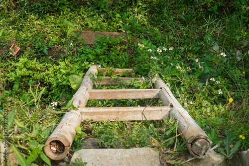 Foto Weathered wooden ladder lies abandoned in overgrown green grass with small white flowers scattered around, suggesting forgotten access to a natural trail or garden path