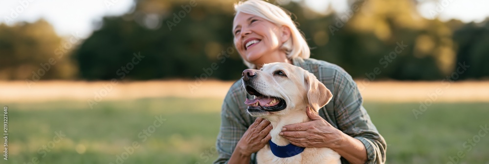 Obraz premium Senior woman holding a yellow labrador dog in a warm sunlit field for background and banner use for pet care companionship and lifestyle design