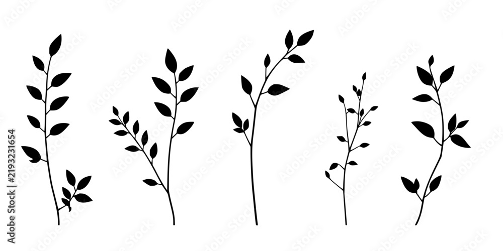 Obraz premium Leafy branches set with linear black and white vector illustration against white background featuring unique leaf shapes, contrasting stems, serene natural mood with clean minimal aesthetic