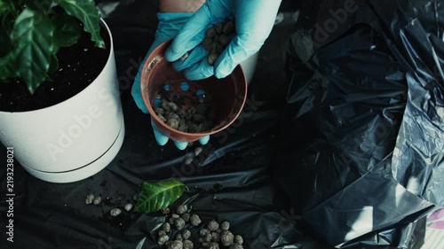 Adding Drainage Clay Pebbles to Flower Pot Indoors