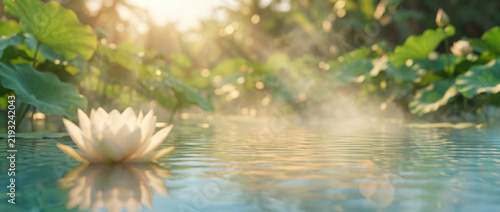 White lotus flower floating on calm water in a sunny garden  