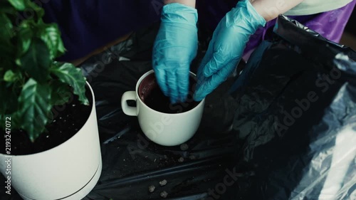 Hands in blue gloves adding soil into pot indoors