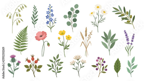 Botanical Collection: Wildflowers, Herbs, and Foliage Elements