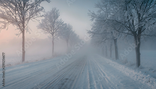 Snow Covered Road Surrounded By Frosty Trees In A Misty Winter Morning Atmosphere